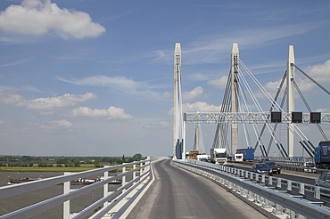 Een foto van de Brug over de Waal/Tacitusbrug, een stalen tuibrug van kokerliggers die de Waal bij Ewijk overspant.