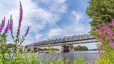 Een foto van opslagloods EBS Rotterdam