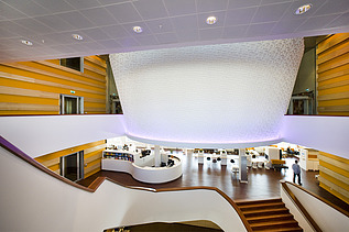 Photo of the Town Hall in Gouda.