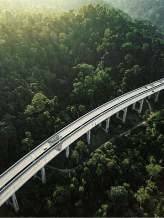 Photo of a forest with a long road.